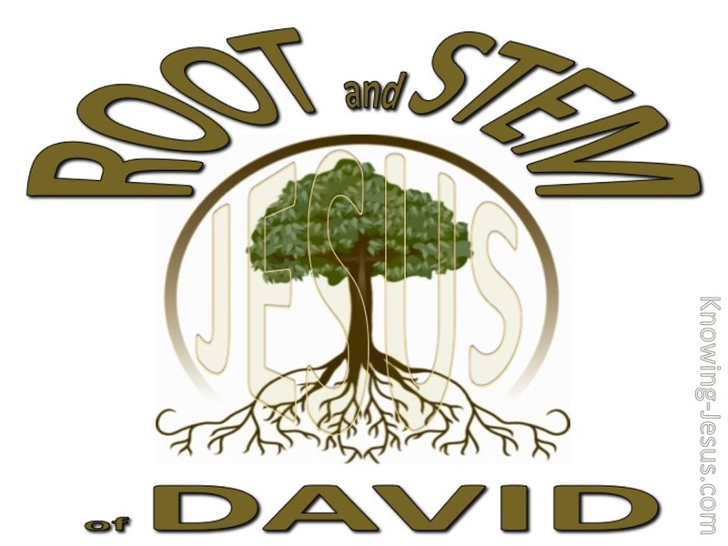 Revelation 22:16 Root and Stem of David (brown)